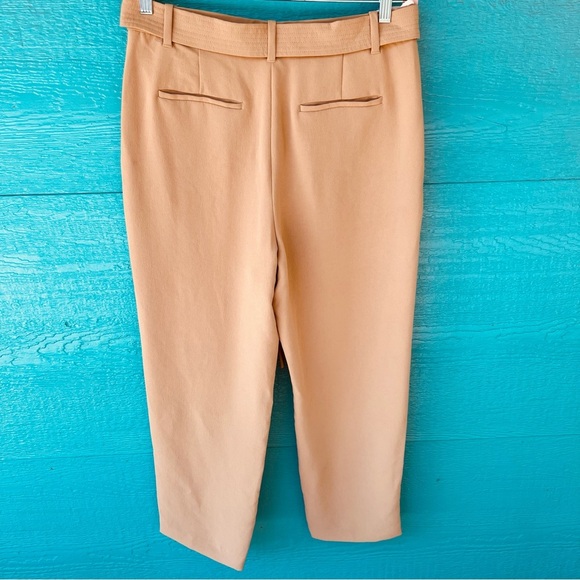 ARITZIA WILFRED HIGH WAIST BELTED EFFORTLESS TROUSERS NEUTRAL TAN SIZE 12 - Picture 7 of 8